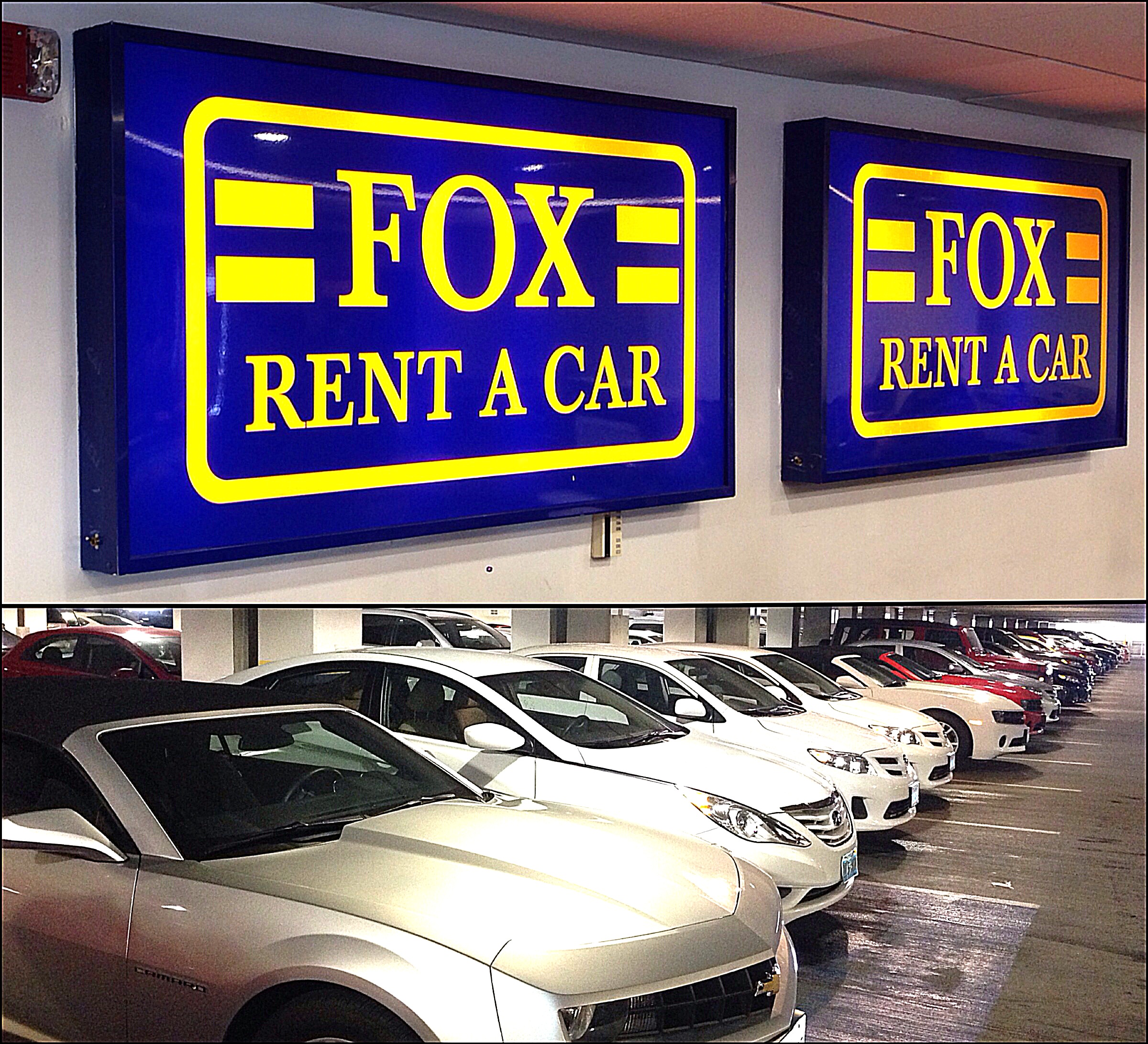 Fox Rent-A-Car Customer Service Complaints Department | HissingKitty.com